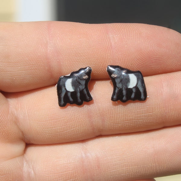 Belted Galloway Oreo Cow Stud Earring: Gift for animal lovers, vet techs, veterinarians, zookeeper's cute earrings with Stainless Steel Post