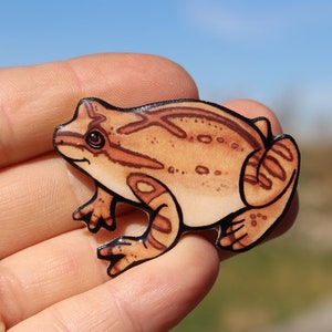 Spring Peeper magnet Gift for frog lovers, vet tech, veterinarian or frog loss memorial Cute animal magnets for locker or fridge