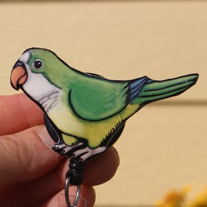 Quaker Parrot Badge Reel ID holder: Gift for Bird lovers nurses, vet techs, veterinarians, zoo keepers bird animal badge reels