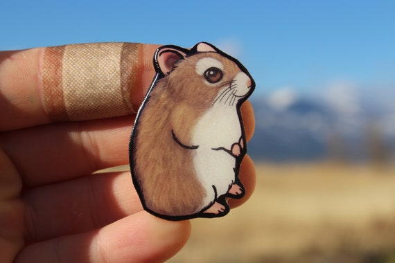 Hamster vet best sale