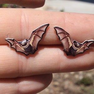 Hoary Bat Earrings : Stainless steel posts for sensitive ears Great gift for Bat lovers Cute animal earring studs