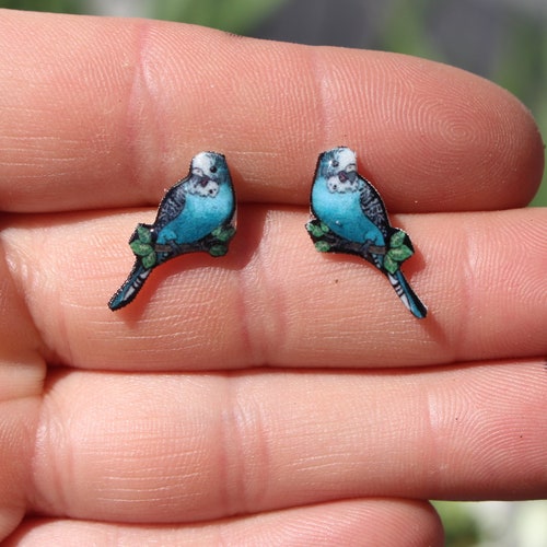 budgie earrings