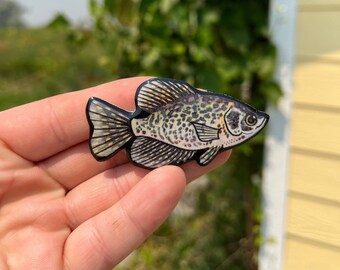 Crappie Magnet: gift for game fish lovers, vet techs, veterinarians, zookeepers, fishermen, cute animal magnets for locker or fridge