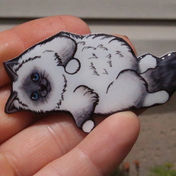 blue point Rag Doll Cat Magnet Gift for Himalayan Cat lovers or cat loss memorial Cute cat animal magnets for locker or fridge
