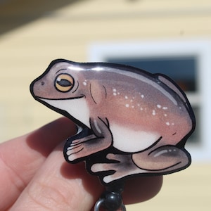 May include: A brown and white frog with a yellow eye, printed on a clear plastic badge reel. The frog is sitting on a white background.