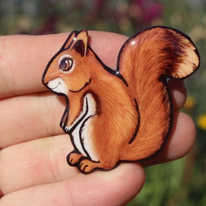 Red Squirrel Magnet: Gift for squirrel lovers, vet techs, veterinarians, zookeepers cute animal magnets for locker or fridge