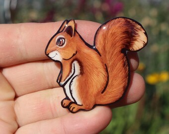 Red Squirrel Magnet: Gift for squirrel lovers, vet techs, veterinarians, zookeepers cute animal magnets for locker or fridge