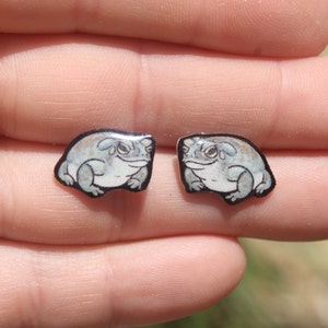 Colorado River Toad Stud Earrings: Gift for animal lovers, vet techs, veterinarians, zookeeper's cute earrings with Stainless Steel Posts