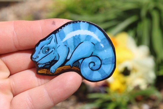 Chameleon vet cheap near me