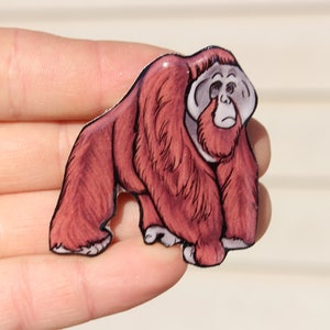 Orangutan magnet: gift for orangutan monkey lovers Cute orangutan art animal magnets for locker or fridge