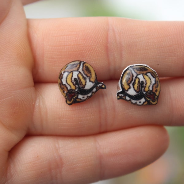 Piebald Ball Python Earring : Stainless steel posts for sensitive ears gift for snake lover or ball python loss memorial