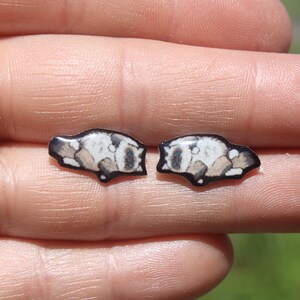 Ragdoll Cat Stud Earrings: Gift for animal lovers, vet techs, veterinarians, zookeeper's cute earrings with Stainless Steel Posts