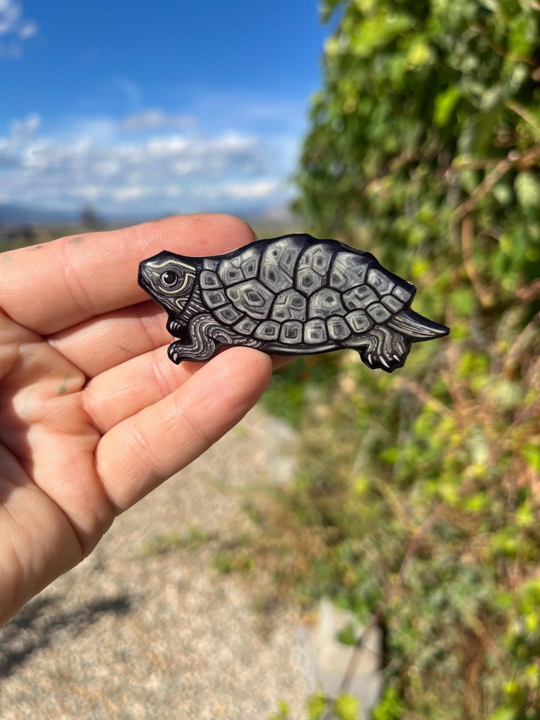 Turtle Races With Magnets Map Turtle Magnet: Gift for Turtle Lover, Vet Tech, Veterinarians ...