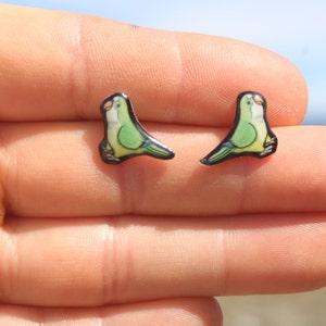 Quaker Parrot Stud Earrings: Gift for bird animal lovers, vet techs, veterinarians, zookeeper's cute earrings with Stainless Steel Posts