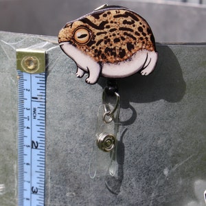 Rain Frog Badge Reel Id holder Retractable ID Badge holder CNA HCA Housekeeping veterinarian Nurse Frog lover gift Animal Badge reels image 6