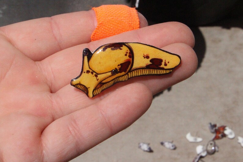 coats Banana Slug Pin: Gift for slug lovers or slug loss memorial pins lapels for ties backpacks clothing Trendy Pins