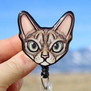 May include: A brown and black cat with green eyes is featured on a black and white retractable badge holder. The cat is looking directly at the camera.