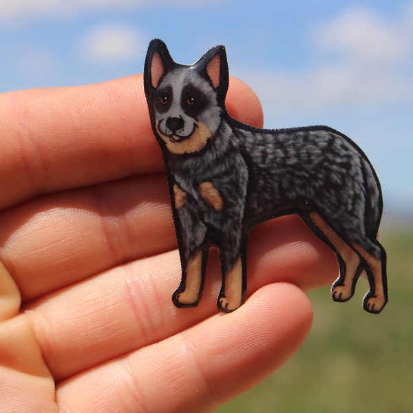 Blue Heeler Magnet: Gift for Cattle Dog lover, vet techs, veterinarians, zookeepers, dog loss Cute animal magnets for locker or fridge