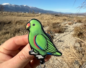 BOXED Swarovski Crystal PARROT (with Coloured Beak) #294047 - Etsy