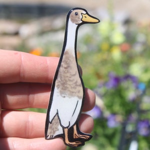 Fun Duck Lover Gift I'm Easily Distracted by Ducks Novelty Fridge Magnet  Ideal Gift Present 