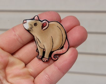 Rat Magnet: Gift for Rat lover or Rat loss memorial Cute animal magnets for  locker or fridge