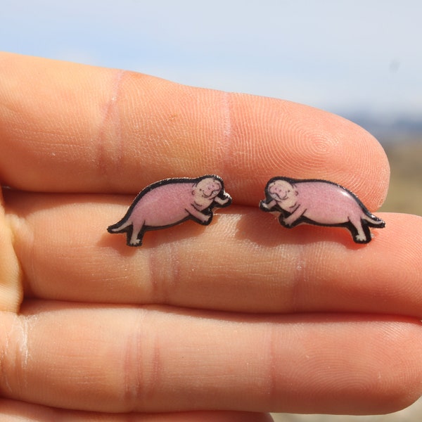 Naked Mole Rat Stud Earrings: Gift for animal lovers, vet techs, veterinarians, zookeeper's cute earrings with Stainless Steel Posts