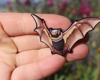Hoary Bat Magnet: Gift for bat lovers, vet techs, veterinarians and zookeepers cute animal magnets for locker or fridge