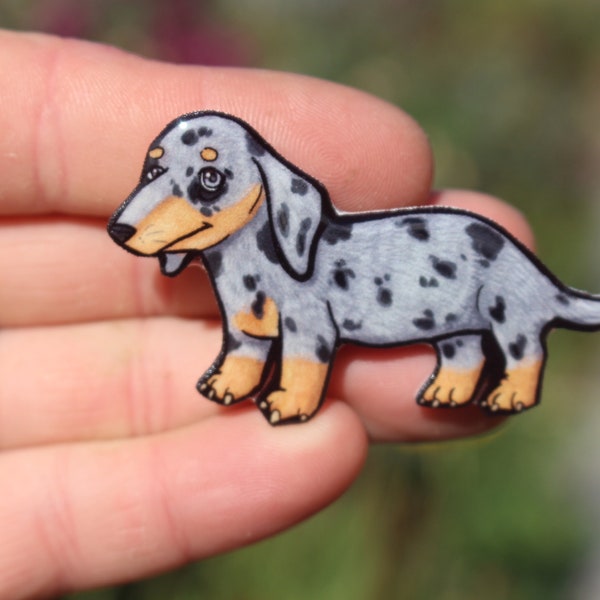 Merle Dachshund Magnet: Gift for wiener dog lovers, vet techs, veterinarians, zookeepers cute dog animal magnets for locker or fridge