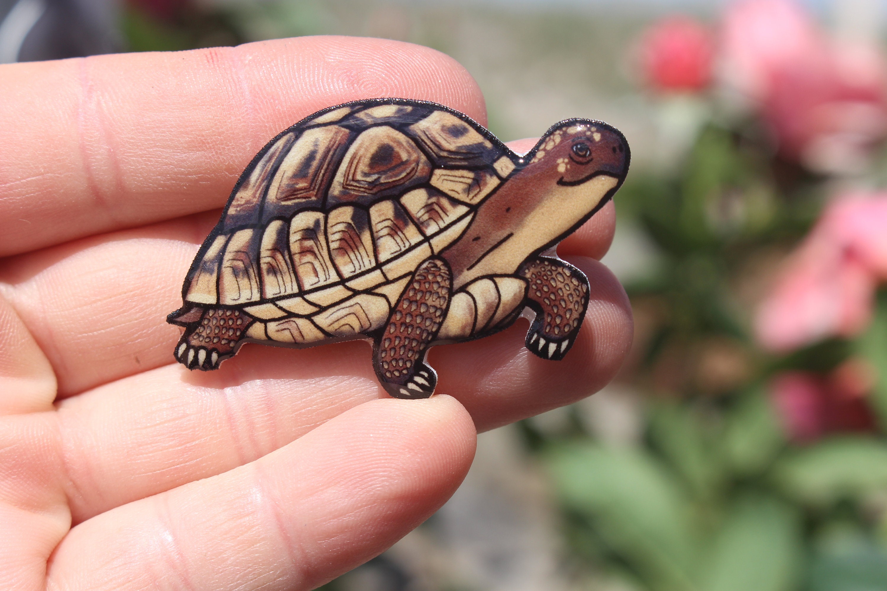 hermann tortoise accessories