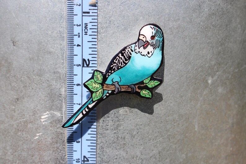 Budgie Gift for Parakeet Bird Lovers Vet Techs Etsy