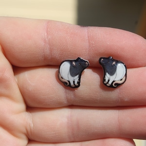 Hooded Rat stud Earrings: gift for rat lovers, teacher, vet tech, zookeeper Cute animal earrings with stainless steel posts