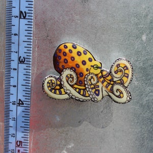 Blue-ringed Octopus Magnet Gift for octopus Lovers Cute ocean animal Magnets for locker or fridge image 3