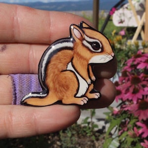 Chipmunk Magnet: Gift for Chipmunk lovers, teachers, zookeepers cute forest animal magnets for locker or fridge
