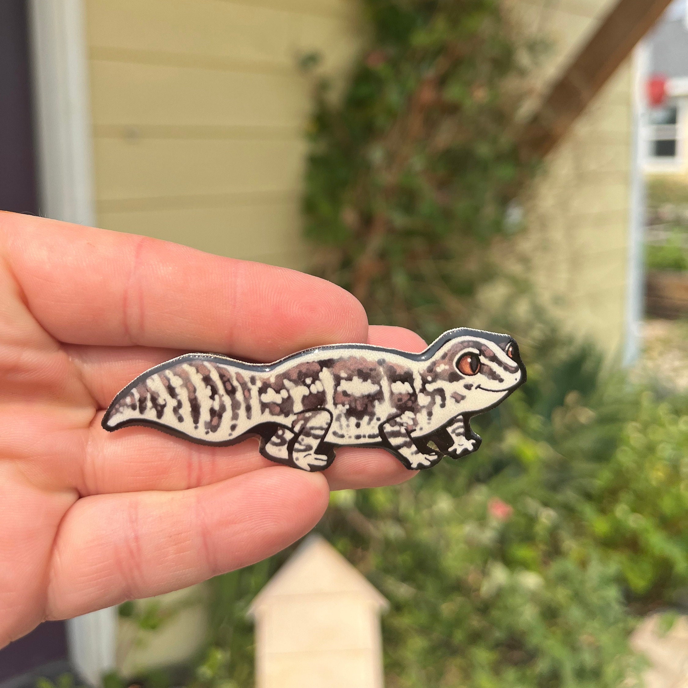 Gecko magnet hotsell