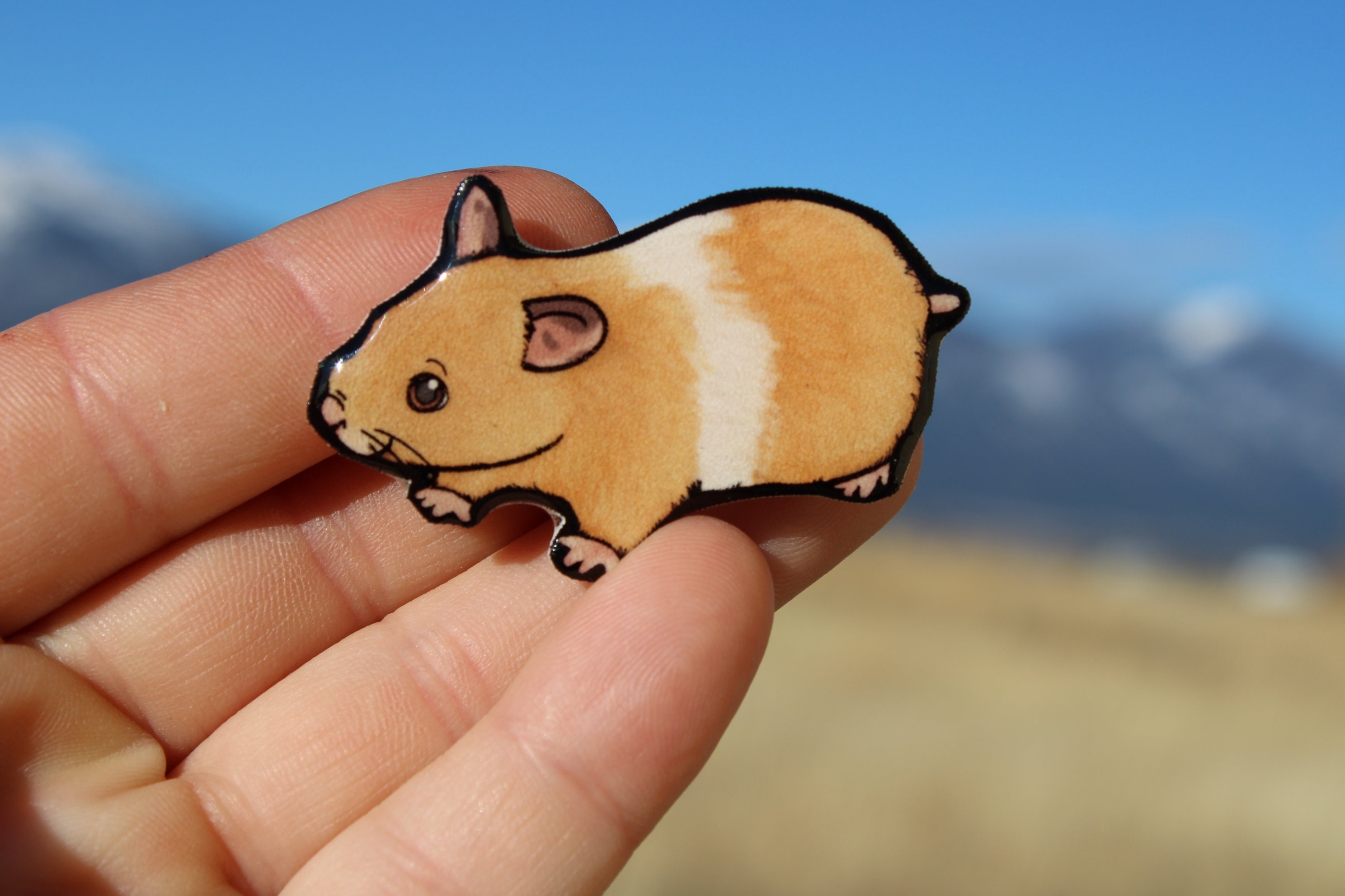 Hamster Magnet: Gift for Hamster Lover Vet - Etsy