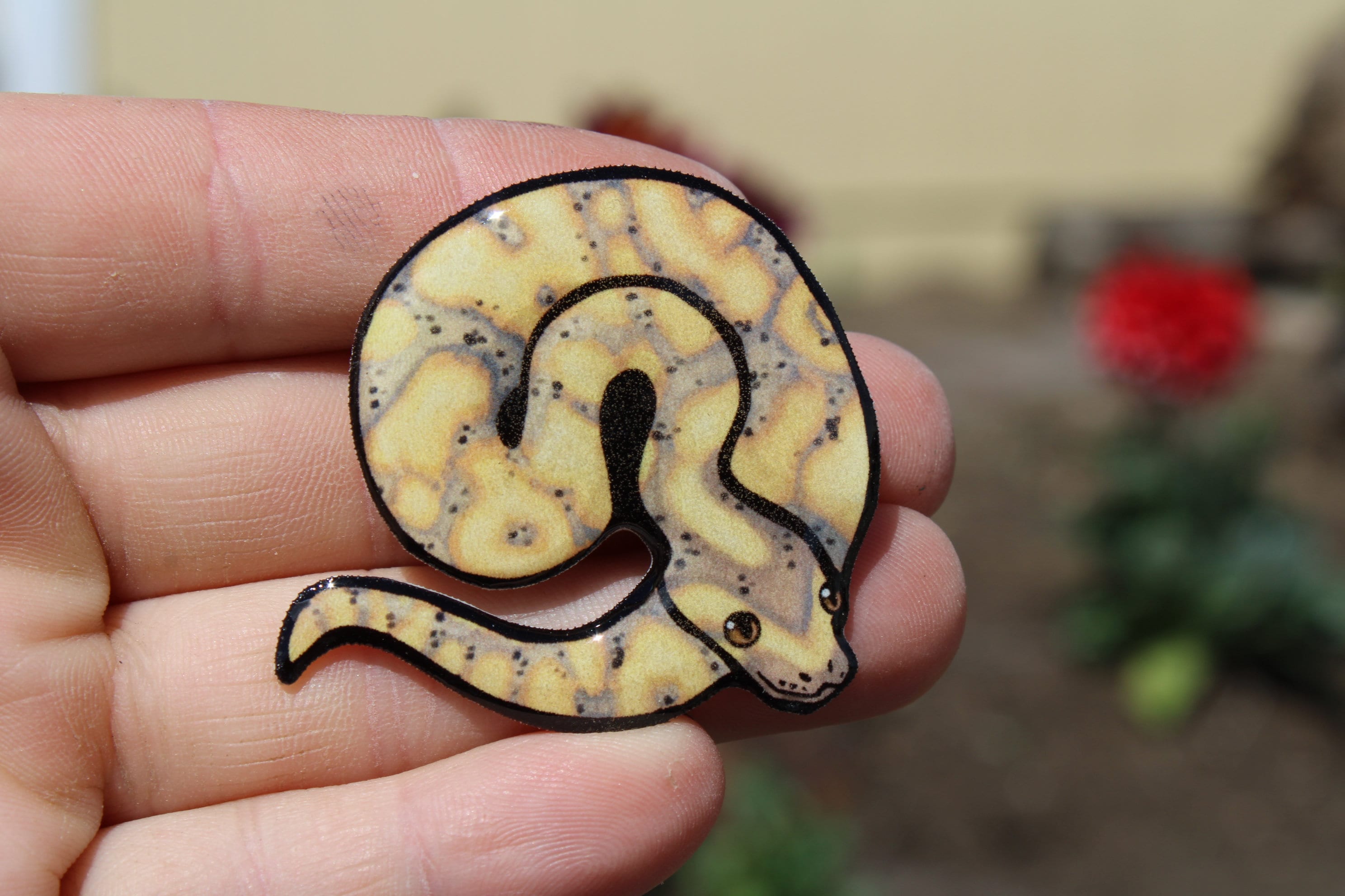 Banana Ball Python Magnet : Gift for Snake Lover Vet Tech - Etsy UK