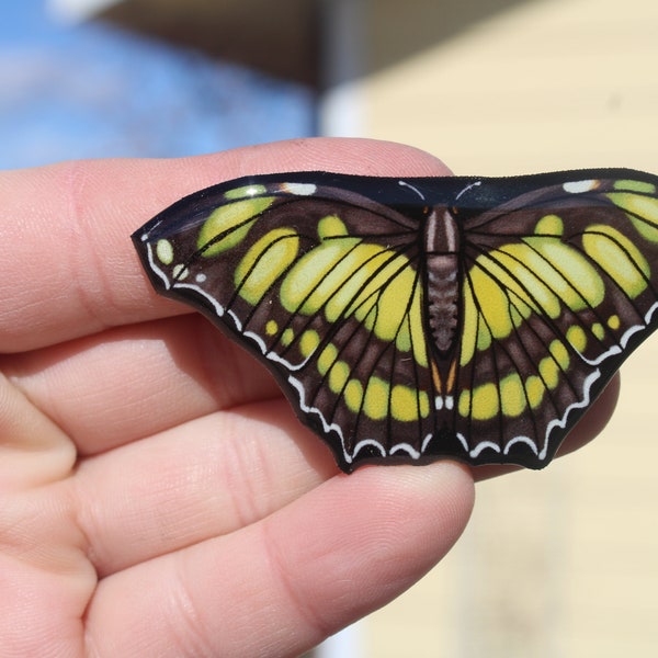 Malachite Butterfly Magnet: Gift for bug lover, gardener, zookeeper, vet tech, or veterinarian cute animal magnets for locker or fridge