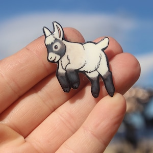Baby Pygmy Dwarf goat magnet: Gift for Goat lovers,  vet techs, veterinarian, zookeeper cute farm animal magnets for locker fridge