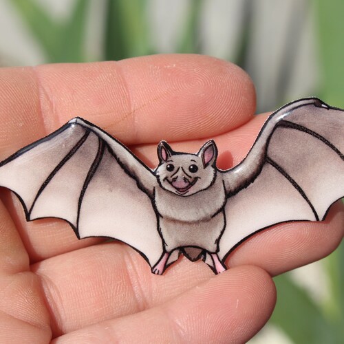 Fruit Bat Gift for Bat Lovers Vet Techs Etsy