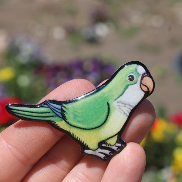 Quaker Parrot Magnet Gift for parrot lovers,zookeepers, vet techs, veterinarians cute bird animal magnets for locker or fridge