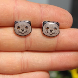 Scottish Fold Cat Earring : great gift for cat lovers stainless steel posts Scottish fold cat memorial loss