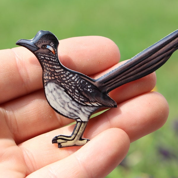 Road Runner Magnet: Gift for bird roadrunner lovers Cute bird animal magnets for locker or fridge
