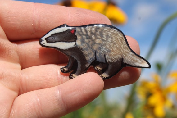 European badger Magnet: Gift for badger lovers, vet techs