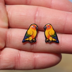 Sun Conure stud Earrings : Gift for bird lover, vet techs, veterinarian, zookeeper cute animal parrot earrings with Stainless Steel Posts