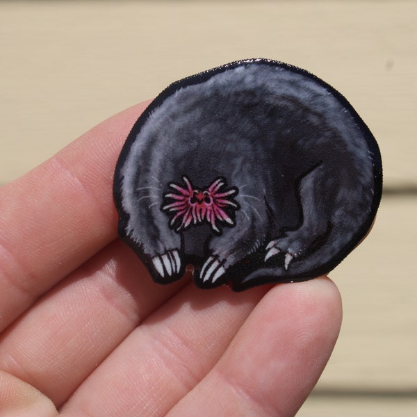 Star Nose Mole Magnet: Gift for Mole lover, vet tech, veterinarian, zookeeper cute animal magnets for locker and fridge