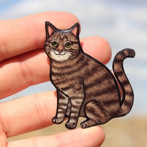 Tabby Cat Magnet: gift for cat lovers, vet techs, veterinarians, teachers cute cat animal magnets for locker or fridge