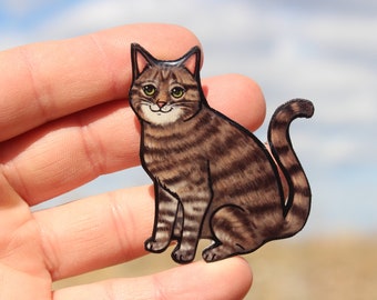 Tabby Cat Magnet: gift for cat lovers, vet techs, veterinarians, teachers cute cat animal magnets for locker or fridge