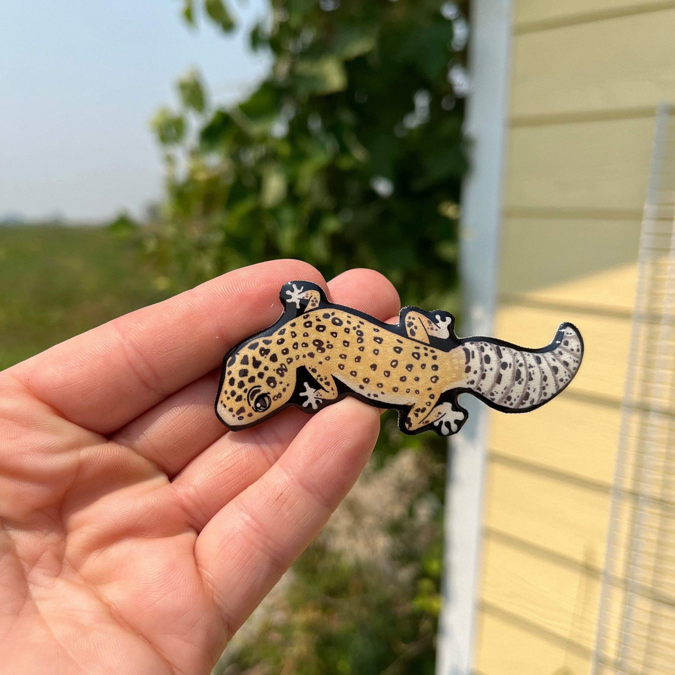 Gecko magnet sales