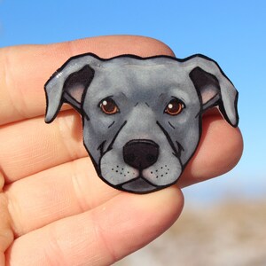 Pitbull Magnet: Gift for pit bull lovers, teachers, vet techs, veterinarians, dog loss memorial cute animal magnets for locker or fridge