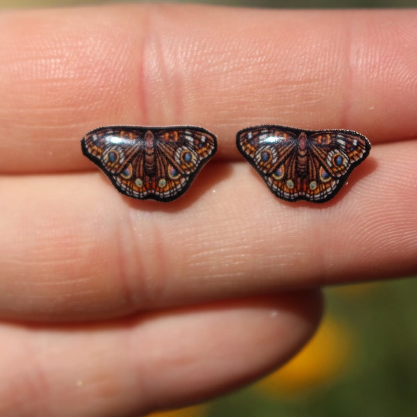 Buckeye Butterfly Earrings: Cute animal stud earrings with stainless steel posts Gift for vet techs veterinarians zookeepers